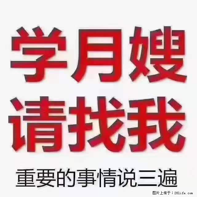 为什么要学习月嫂，育婴师？ - 新手上路 - 五家渠生活社区 - 五家渠28生活网 wjq.28life.com
