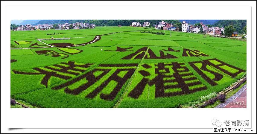 【春天,广西桂林灌阳县向您发出邀请!】开篇 - 游山玩水 - 五家渠生活社区 - 五家渠28生活网 wjq.28life.com