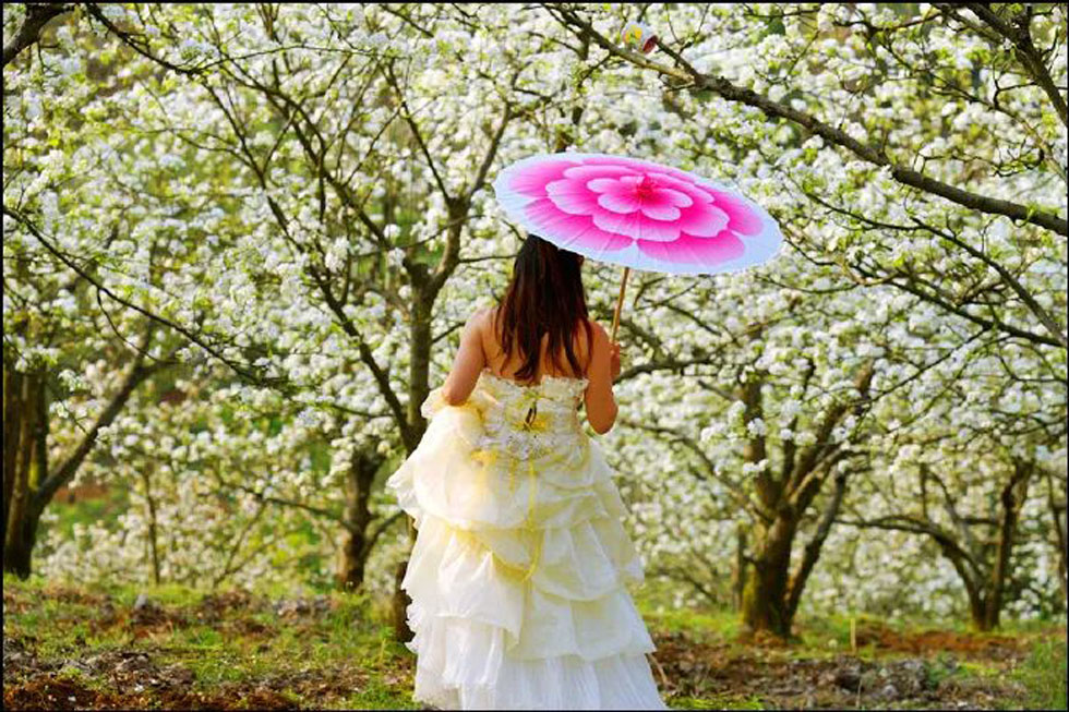 【春天,广西桂林灌阳县向您发出邀请!】我们在灌阳看梨花 - 游山玩水 - 五家渠生活社区 - 五家渠28生活网 wjq.28life.com