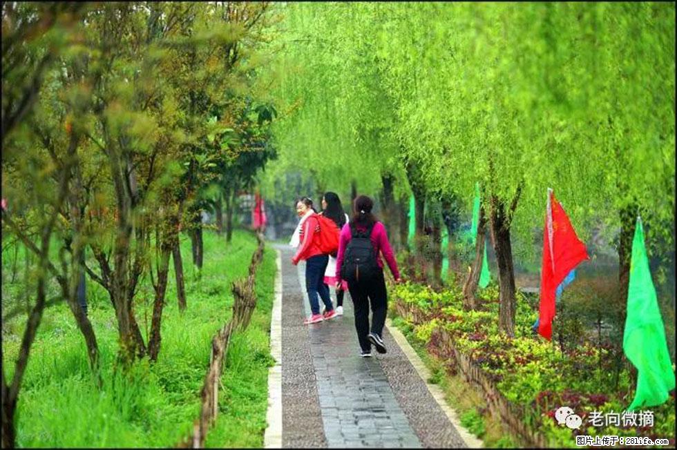 【春天,广西桂林灌阳县向您发出邀请!】江口老街又逢春 - 游山玩水 - 五家渠生活社区 - 五家渠28生活网 wjq.28life.com