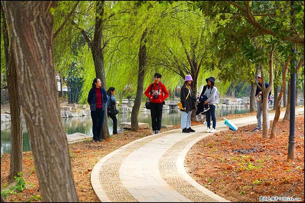 【春天,广西桂林灌阳县向您发出邀请!】江口老街又逢春 - 游山玩水 - 五家渠生活社区 - 五家渠28生活网 wjq.28life.com