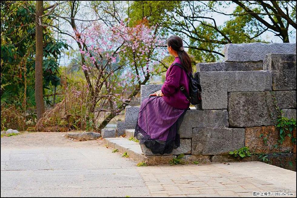 【春天,广西桂林灌阳县向您发出邀请!】江口老街又逢春 - 游山玩水 - 五家渠生活社区 - 五家渠28生活网 wjq.28life.com