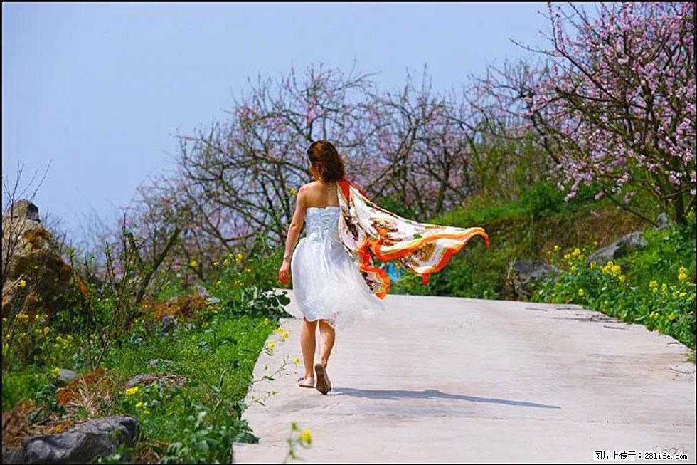 【春天,广西桂林灌阳县向您发出邀请!】望月岭上桃花开 - 游山玩水 - 五家渠生活社区 - 五家渠28生活网 wjq.28life.com