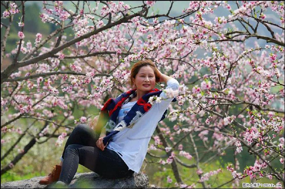 【春天,广西桂林灌阳县向您发出邀请!】望月岭上桃花开 - 游山玩水 - 五家渠生活社区 - 五家渠28生活网 wjq.28life.com