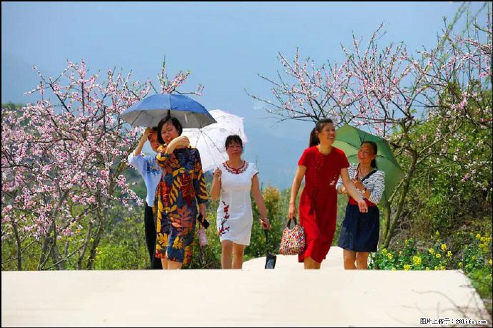 【春天,广西桂林灌阳县向您发出邀请!】望月岭上桃花开 - 游山玩水 - 五家渠生活社区 - 五家渠28生活网 wjq.28life.com