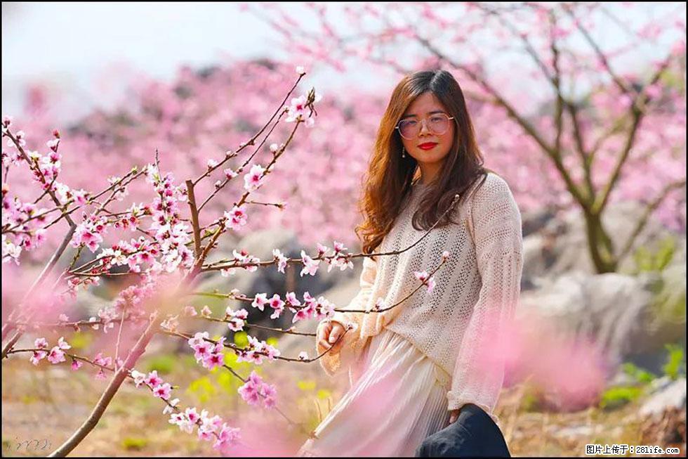 【春天,广西桂林灌阳县向您发出邀请!】望月岭上桃花开 - 游山玩水 - 五家渠生活社区 - 五家渠28生活网 wjq.28life.com