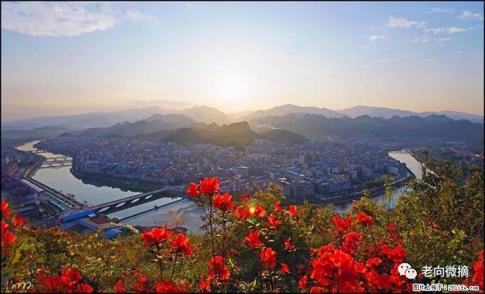 【春天,广西桂林灌阳县向您发出邀请!】登麒麟山,相约映山红 - 游山玩水 - 五家渠生活社区 - 五家渠28生活网 wjq.28life.com