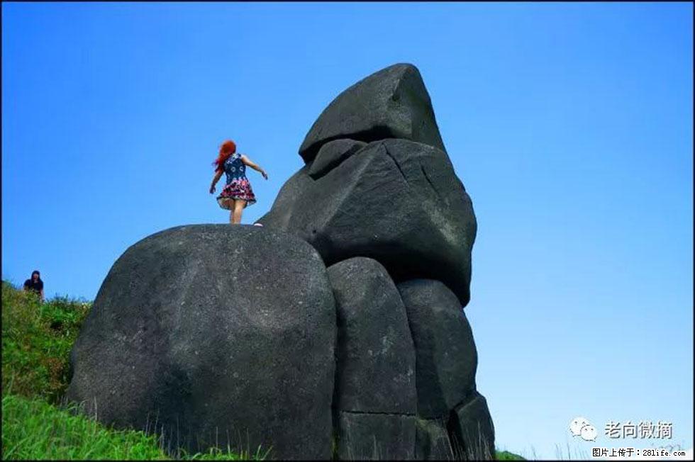 【春天,广西桂林灌阳县向您发出邀请!】宝盖山上映山红 - 游山玩水 - 五家渠生活社区 - 五家渠28生活网 wjq.28life.com