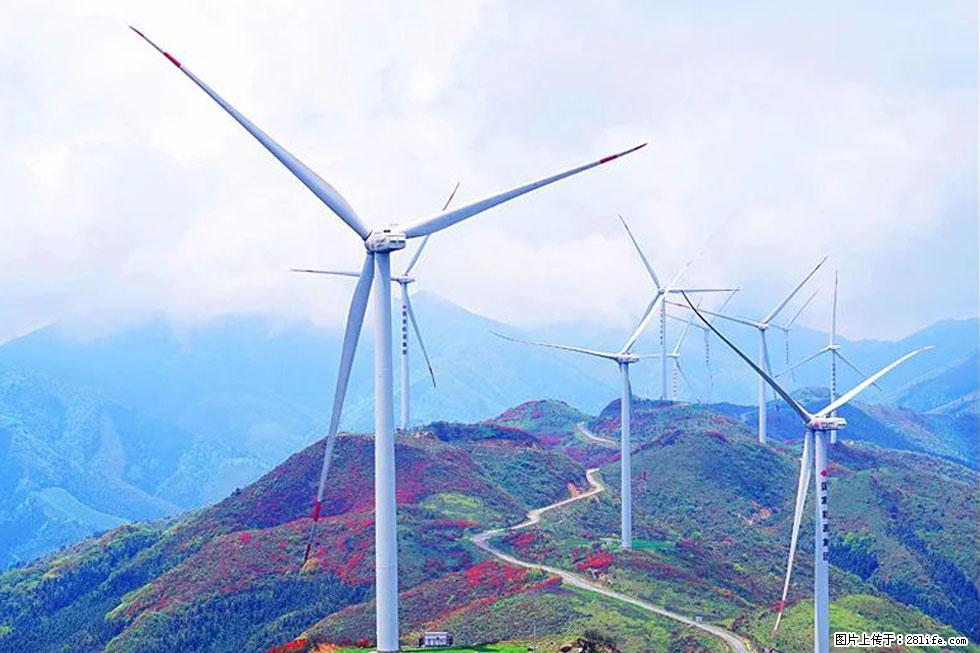 【春天,广西桂林灌阳县向您发出邀请!】春木界上映山红 - 游山玩水 - 五家渠生活社区 - 五家渠28生活网 wjq.28life.com