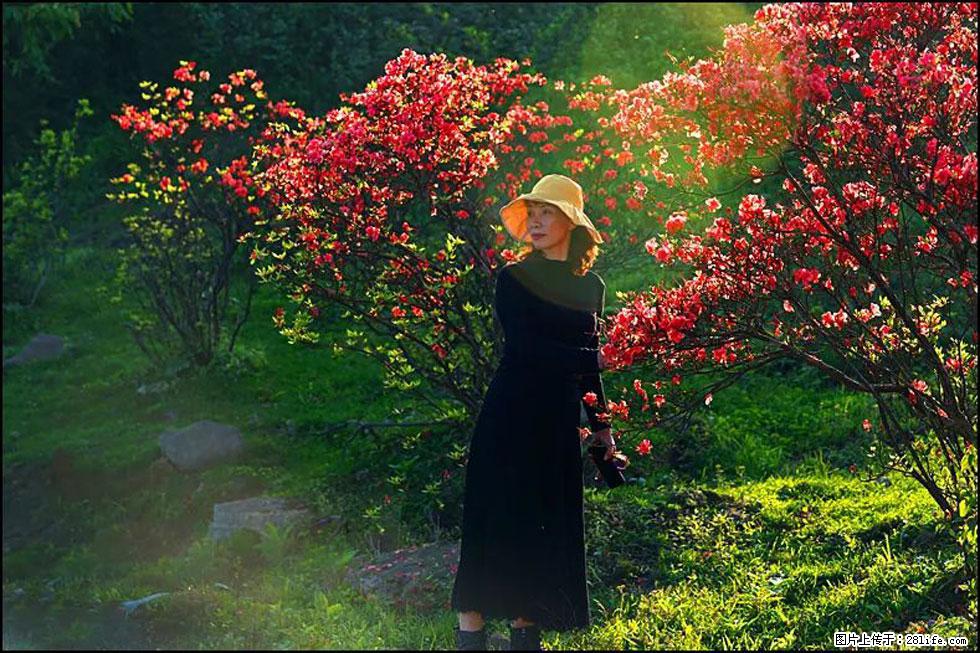 【春天,广西桂林灌阳县向您发出邀请!】春木界上映山红 - 游山玩水 - 五家渠生活社区 - 五家渠28生活网 wjq.28life.com