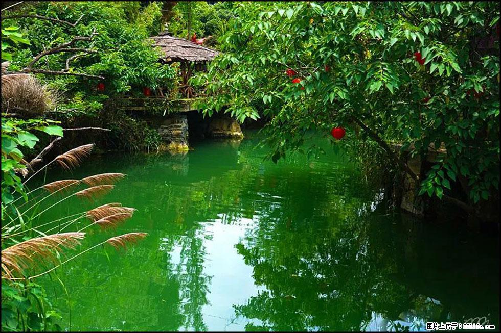 【春天，广西桂林灌阳县向您发出邀请！】如梦似幻莲溪庐 - 游山玩水 - 五家渠生活社区 - 五家渠28生活网 wjq.28life.com