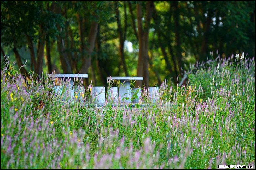 【春天，广西桂林灌阳县向您发出邀请！】熊家寨湿地公园 - 游山玩水 - 五家渠生活社区 - 五家渠28生活网 wjq.28life.com