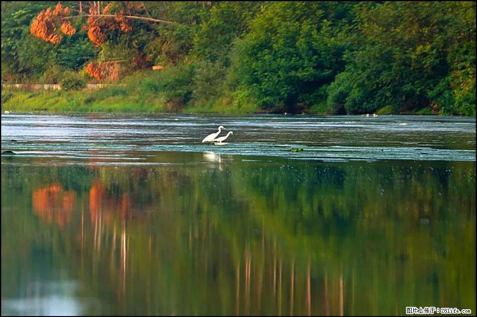【春天，广西桂林灌阳县向您发出邀请！】熊家寨湿地公园 - 游山玩水 - 五家渠生活社区 - 五家渠28生活网 wjq.28life.com