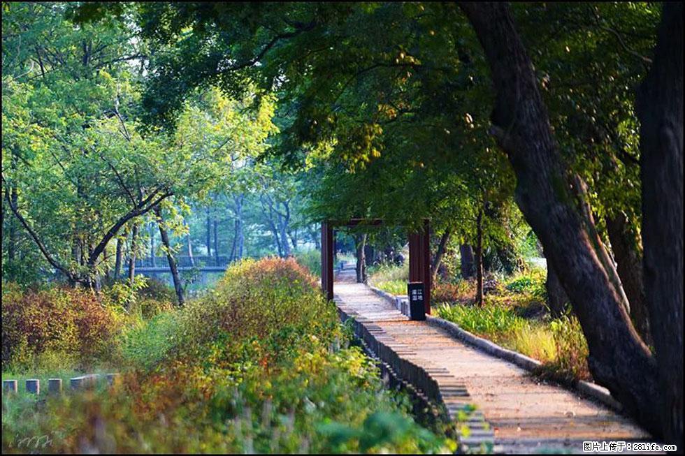 【春天，广西桂林灌阳县向您发出邀请！】熊家寨湿地公园 - 游山玩水 - 五家渠生活社区 - 五家渠28生活网 wjq.28life.com