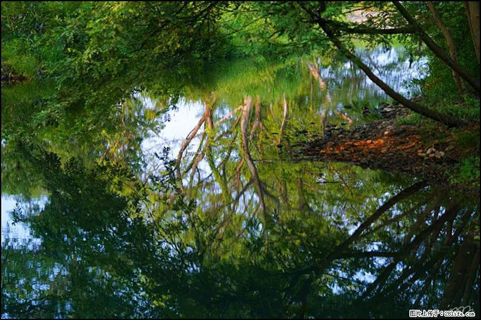 【春天，广西桂林灌阳县向您发出邀请！】熊家寨湿地公园 - 游山玩水 - 五家渠生活社区 - 五家渠28生活网 wjq.28life.com