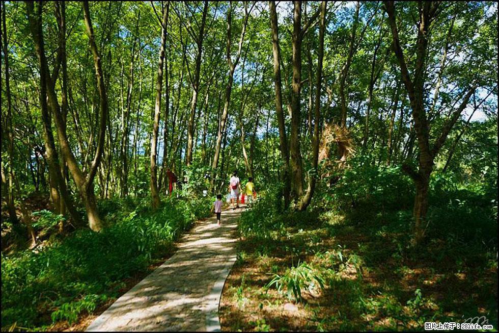 【春天，广西桂林灌阳县向您发出邀请！】熊家寨湿地公园 - 游山玩水 - 五家渠生活社区 - 五家渠28生活网 wjq.28life.com