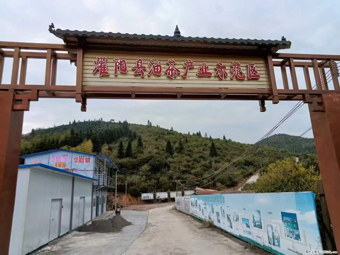 【灌阳县油茶产业示范区】一个有着充实的精神生活的人,对待身外之物自会有一种淡泊的态度 - 美食天地 - 五家渠生活社区 - 五家渠28生活网 wjq.28life.com