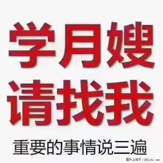 为什么要学习月嫂，育婴师？ - 五家渠28生活网 wjq.28life.com