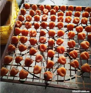 广西桂林平乐桥亭【柿饼之乡】2025年纯手工制作、无任何添加剂的第一批柿饼准备上市了，欢迎联系订购！ - 五家渠28生活网 wjq.28life.com