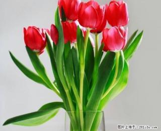 天山花园简装1室1厅家电齐全拎包入住500元出租 - 五家渠28生活网 wjq.28life.com