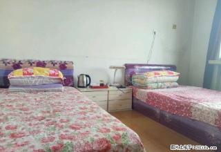 广场南侧农行西侧粮食局 1室0厅1卫 - 五家渠28生活网 wjq.28life.com