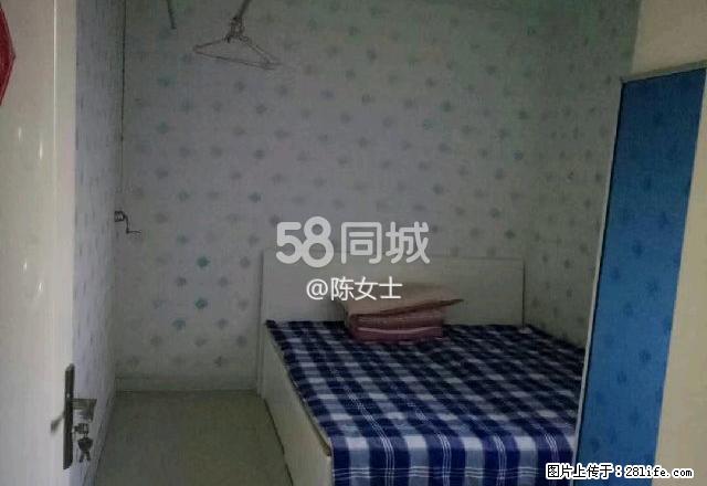 商贸城附近 2室2厅1卫 - 房屋出租 - 房屋租售 - 五家渠分类信息 - 五家渠28生活网 wjq.28life.com