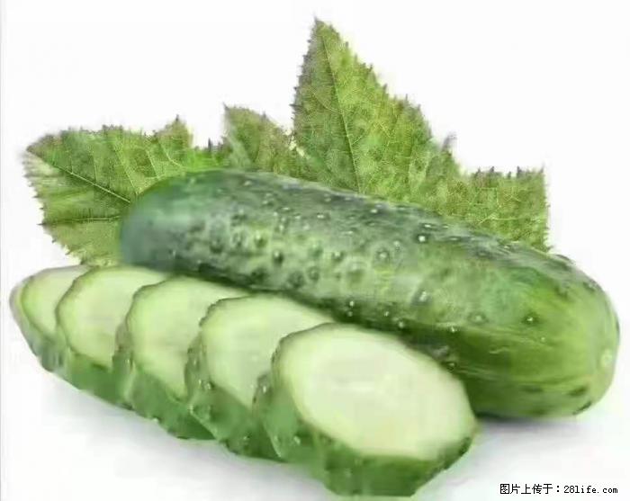 【生活小常识】吃黄瓜的好处 - 生活百科 - 五家渠生活社区 - 五家渠28生活网 wjq.28life.com