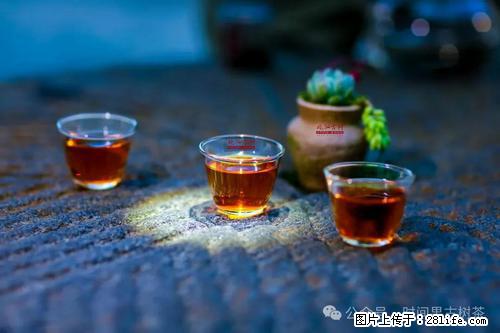 时间果百年古树2025年春红茶 - 购物交流 - 五家渠生活社区 - 五家渠28生活网 wjq.28life.com