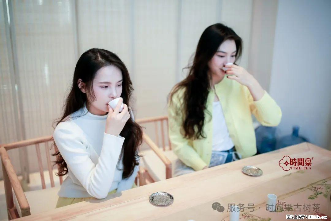 时间果百年古树龙珠普洱生茶 - 购物交流 - 五家渠生活社区 - 五家渠28生活网 wjq.28life.com