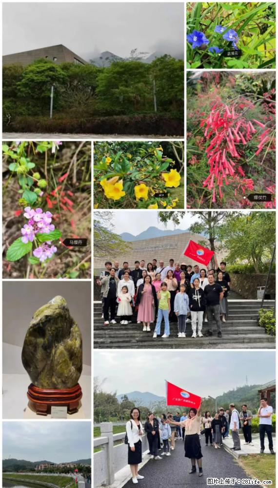 “粤灌文化 美好生活”油茶文化主题活动在广东深圳成功举办 - 五家渠生活资讯 - 五家渠28生活网 wjq.28life.com