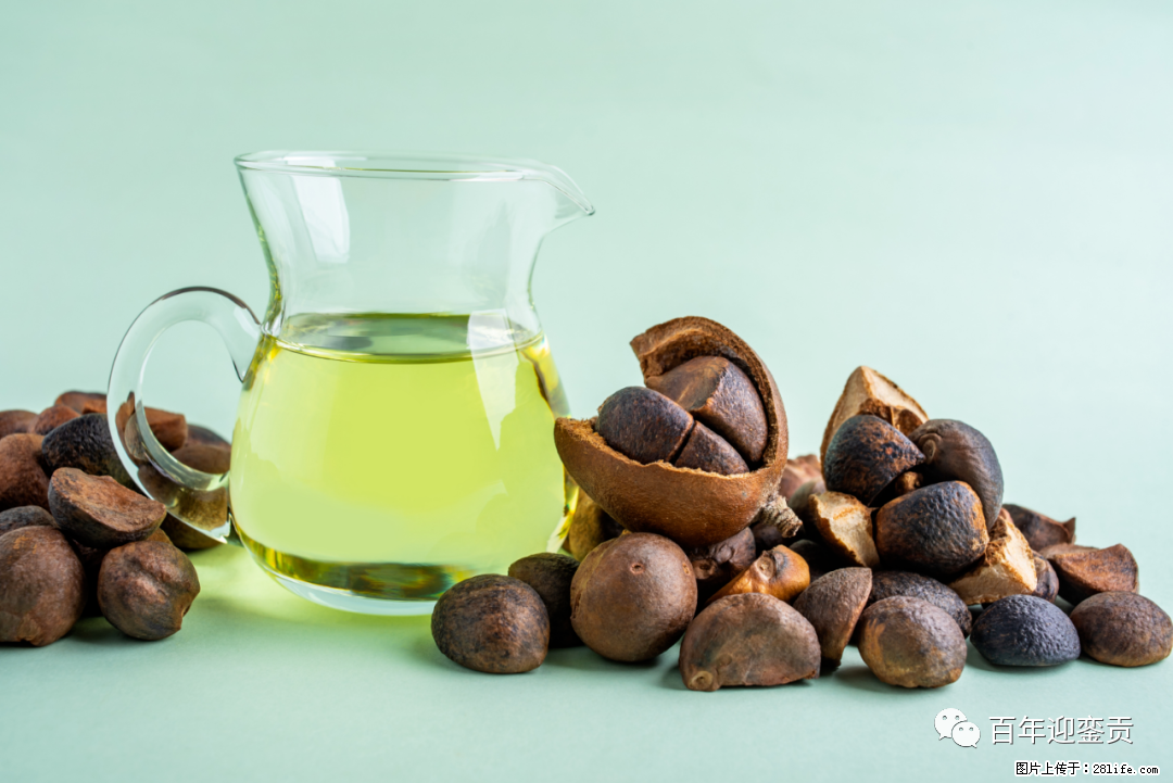 揭秘茶油的5大核心营养成分！被称为人体健康的“守护盾”！ - 五家渠生活资讯 - 五家渠28生活网 wjq.28life.com