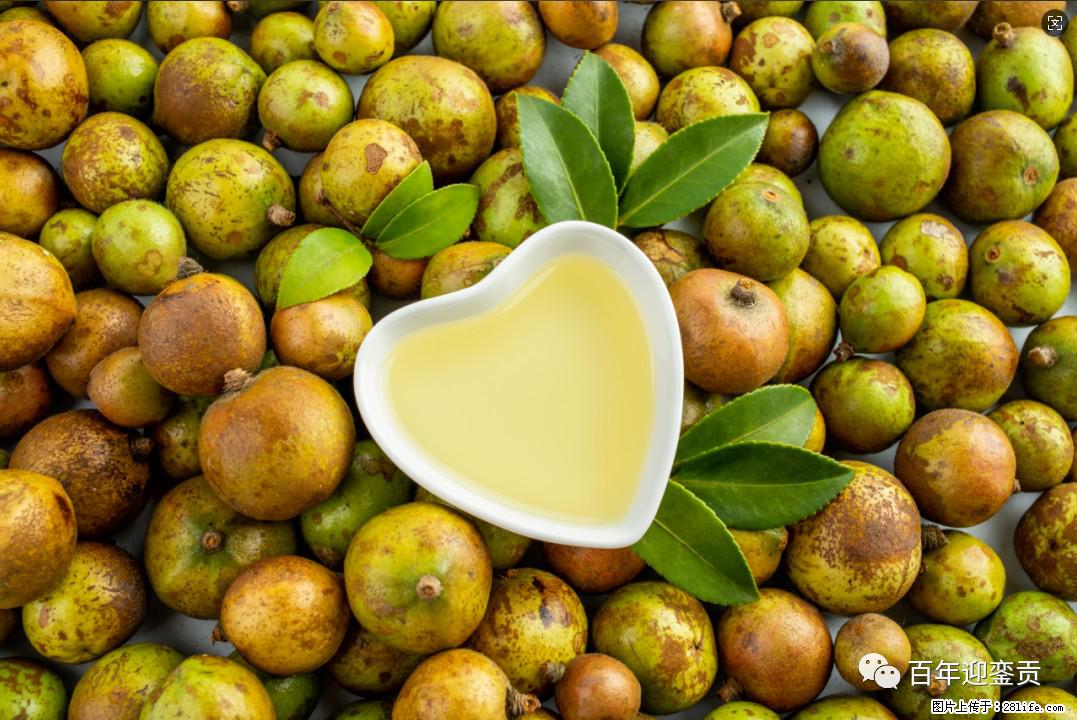 世界没有真相,只有认知,最好的食用油是中国的山茶油! - 五家渠生活资讯 - 五家渠28生活网 wjq.28life.com