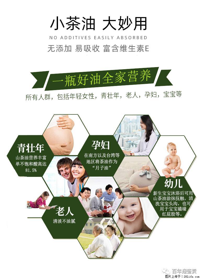 世界没有真相,只有认知,最好的食用油是中国的山茶油! - 五家渠生活资讯 - 五家渠28生活网 wjq.28life.com