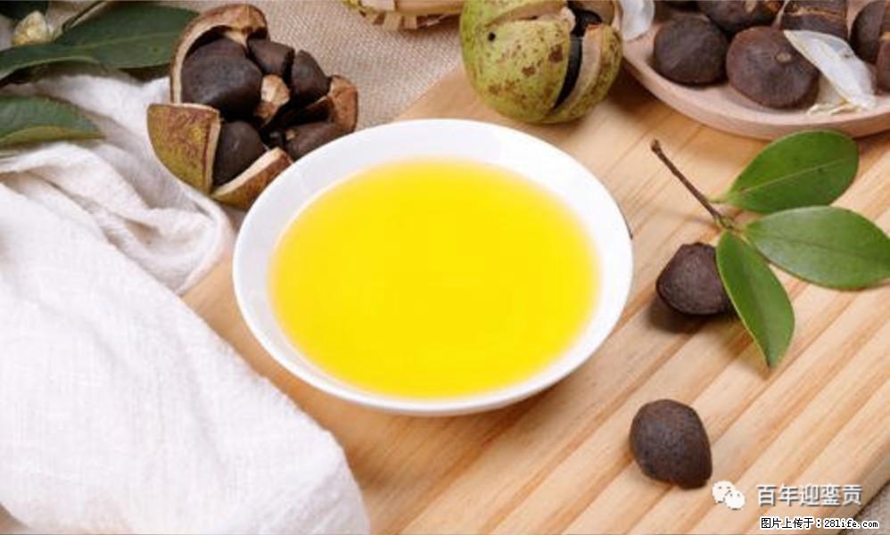 世界没有真相,只有认知,最好的食用油是中国的山茶油! - 五家渠生活资讯 - 五家渠28生活网 wjq.28life.com