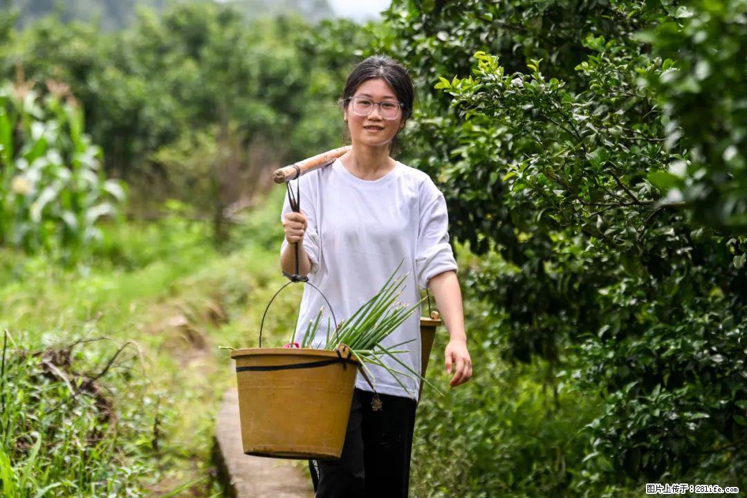 全网追的“扁担女孩”,找了一份暑假工,时薪12元 - 五家渠生活资讯 - 五家渠28生活网 wjq.28life.com
