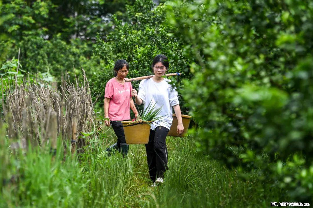 全网追的“扁担女孩”,找了一份暑假工,时薪12元 - 五家渠生活资讯 - 五家渠28生活网 wjq.28life.com