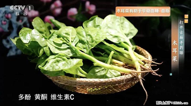 比牛奶补钙还厉害!凉血解毒、稳血糖...这菜冬天必吃,很多人却当草 - 五家渠生活资讯 - 五家渠28生活网 wjq.28life.com