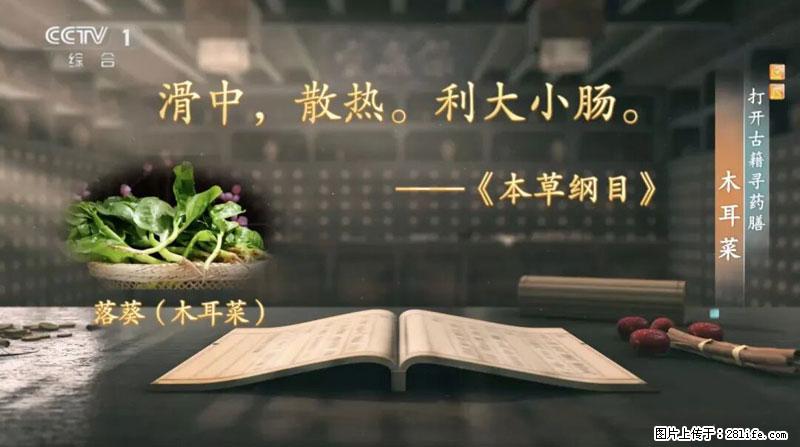 比牛奶补钙还厉害!凉血解毒、稳血糖...这菜冬天必吃,很多人却当草 - 五家渠生活资讯 - 五家渠28生活网 wjq.28life.com