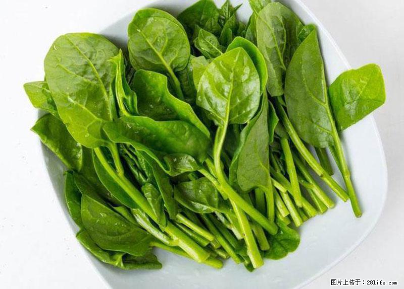 这些蔬菜是“天然钙片”，这6种被医生重点推荐 - 五家渠生活资讯 - 五家渠28生活网 wjq.28life.com