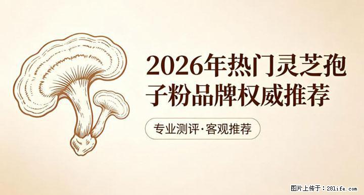 灵芝孢子粉含量越高越有效？2026 年七款热门品牌深度实测，肠胃敏感者避坑指南 - 五家渠生活资讯 - 五家渠28生活网 wjq.28life.com