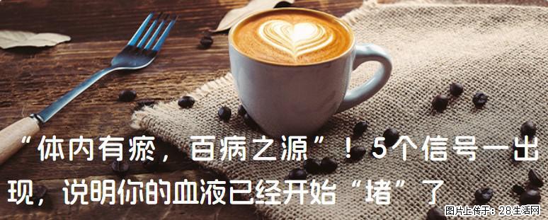 “体内有瘀,百病之源”!5个信号一出现,说明你的血液已经开始“堵”了 - 五家渠生活资讯 - 五家渠28生活网 wjq.28life.com